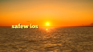 safew ios 版是否有？深度解析这款安全工具在苹果生态中的现状与未来？