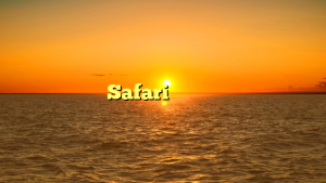 关于苹果Safari安装包，你需要了解的几个方面？